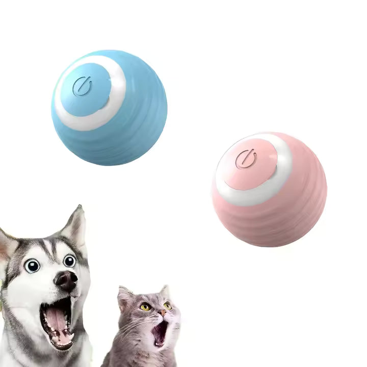 Pelota Interactiva USB: Diversión Sin Fin para tu mascota